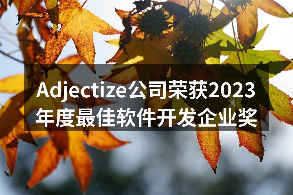 Adjectize公司荣获2023年度最佳软件开发企业奖
